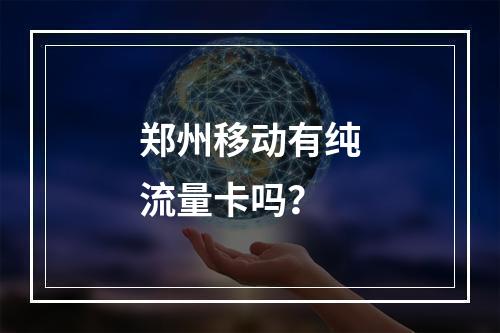 郑州移动有纯流量卡吗？