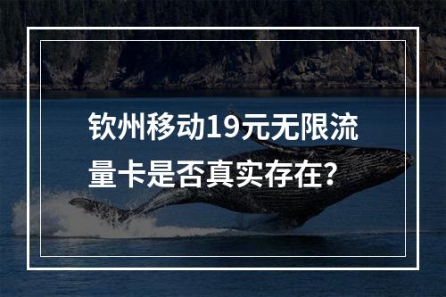 钦州移动19元无限流量卡是否真实存在？