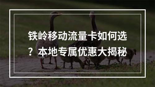 铁岭移动流量卡如何选？本地专属优惠大揭秘