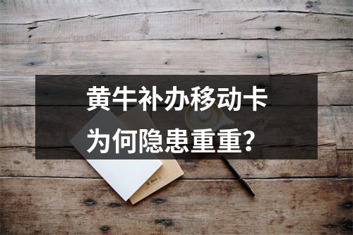 黄牛补办移动卡为何隐患重重？