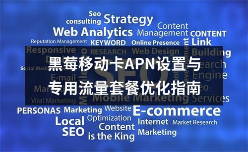 黑莓移动卡APN设置与专用流量套餐优化指南