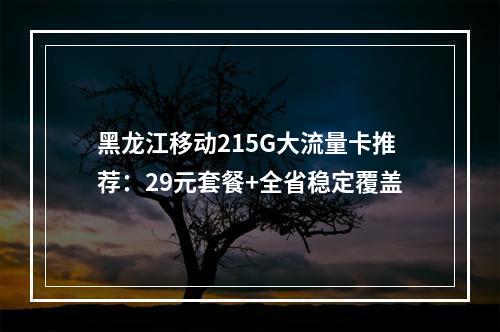 黑龙江移动215G大流量卡推荐：29元套餐+全省稳定覆盖