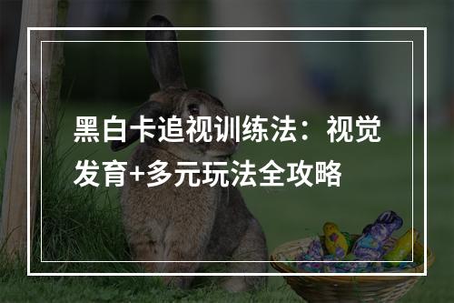 黑白卡追视训练法：视觉发育+多元玩法全攻略