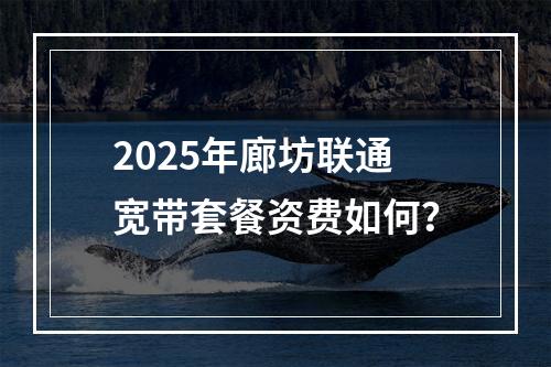 2025年廊坊联通宽带套餐资费如何？