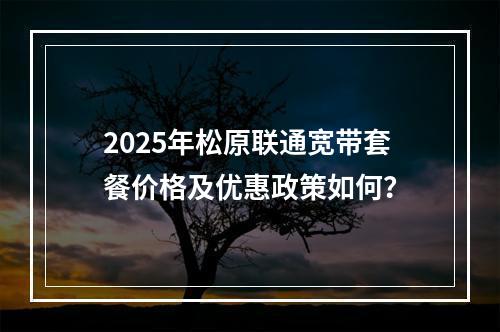 2025年松原联通宽带套餐价格及优惠政策如何？