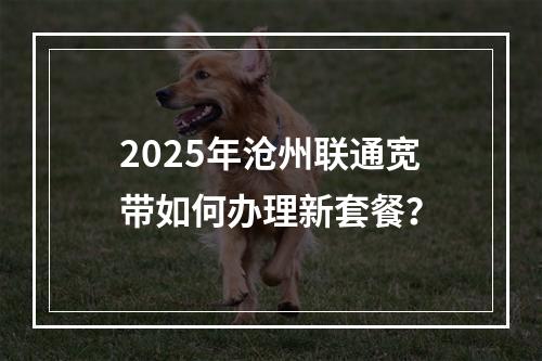 2025年沧州联通宽带如何办理新套餐？