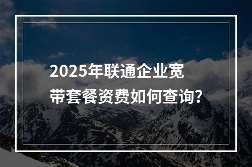 2025年联通企业宽带套餐资费如何查询？
