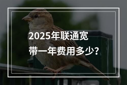 2025年联通宽带一年费用多少？