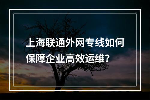上海联通外网专线如何保障企业高效运维？