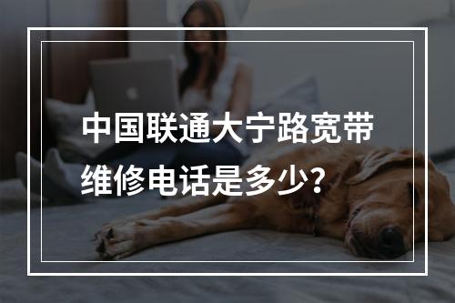 中国联通大宁路宽带维修电话是多少？
