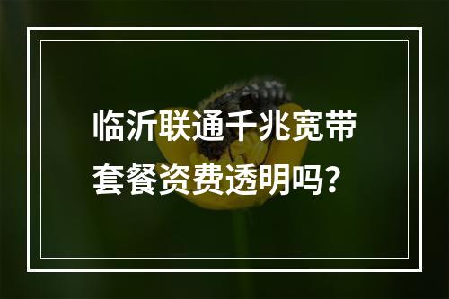 临沂联通千兆宽带套餐资费透明吗？