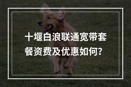十堰白浪联通宽带套餐资费及优惠如何？