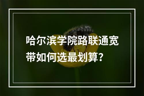 哈尔滨学院路联通宽带如何选最划算？