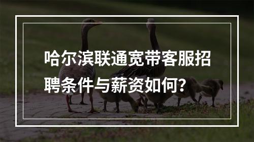 哈尔滨联通宽带客服招聘条件与薪资如何？