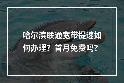 哈尔滨联通宽带提速如何办理？首月免费吗？