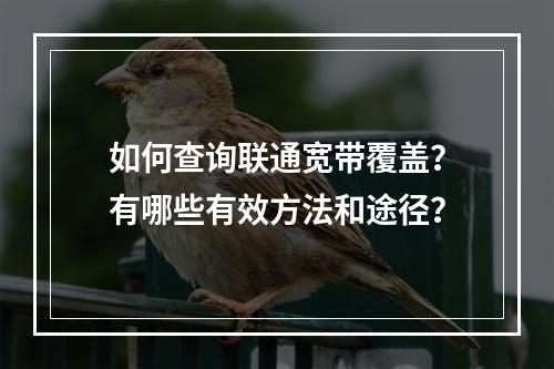 如何查询联通宽带覆盖？有哪些有效方法和途径？