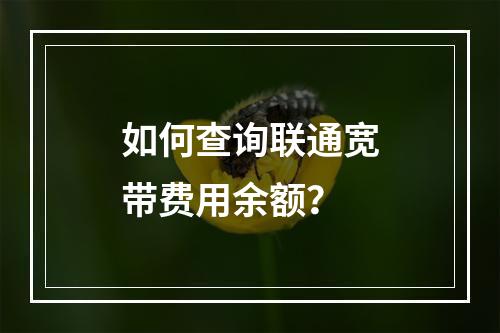 如何查询联通宽带费用余额？