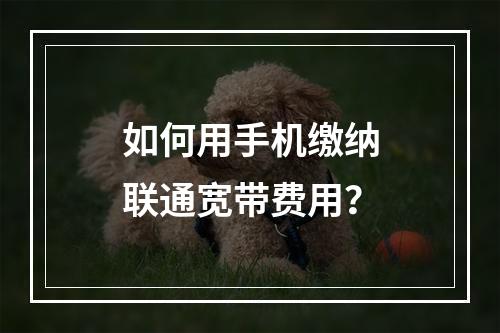 如何用手机缴纳联通宽带费用？