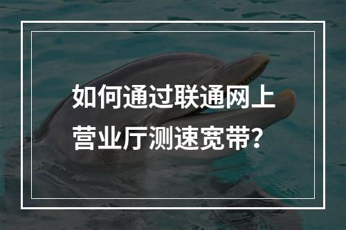 如何通过联通网上营业厅测速宽带？