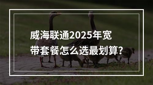 威海联通2025年宽带套餐怎么选最划算？