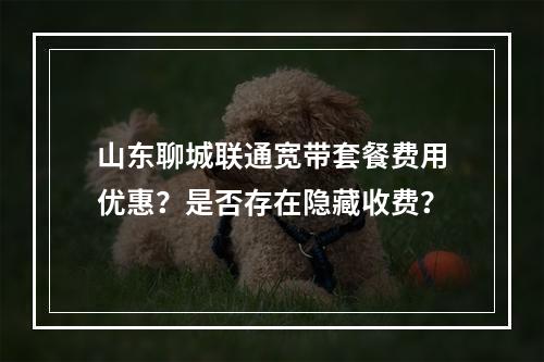 山东聊城联通宽带套餐费用优惠？是否存在隐藏收费？