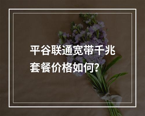 平谷联通宽带千兆套餐价格如何？