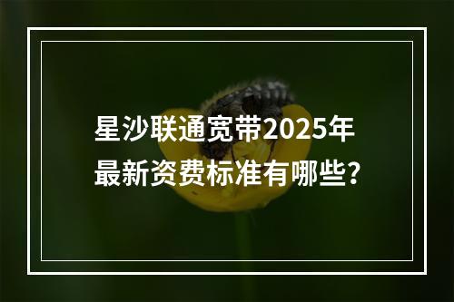 星沙联通宽带2025年最新资费标准有哪些？