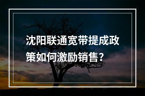 沈阳联通宽带提成政策如何激励销售？