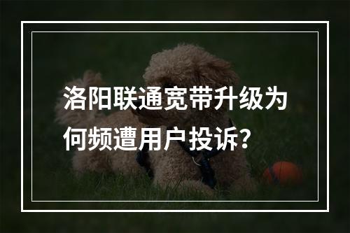 洛阳联通宽带升级为何频遭用户投诉？