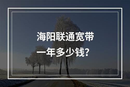 海阳联通宽带一年多少钱？