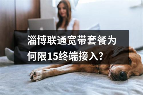 淄博联通宽带套餐为何限15终端接入？