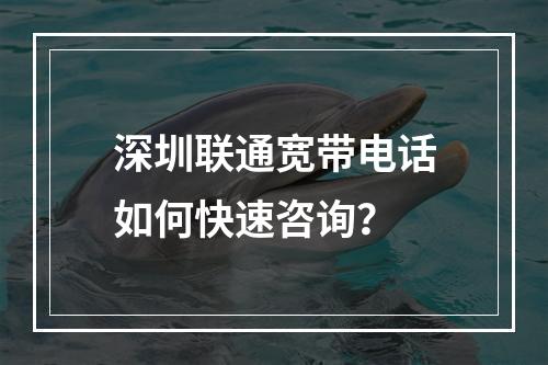 深圳联通宽带电话如何快速咨询？