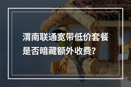 渭南联通宽带低价套餐是否暗藏额外收费？