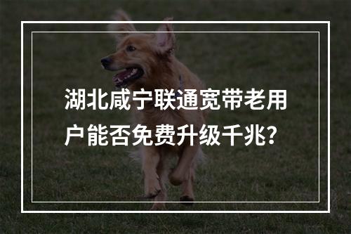 湖北咸宁联通宽带老用户能否免费升级千兆？