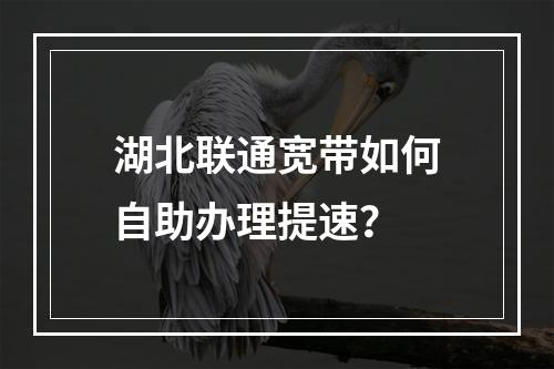 湖北联通宽带如何自助办理提速？