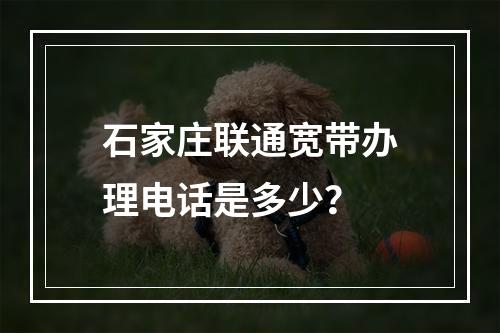 石家庄联通宽带办理电话是多少？
