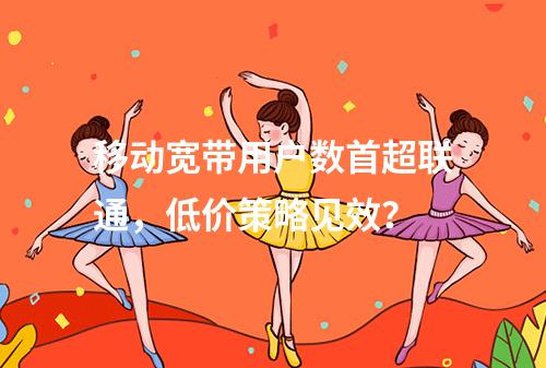 移动宽带用户数首超联通，低价策略见效？