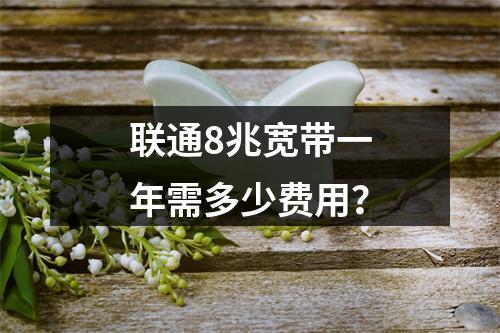 联通8兆宽带一年需多少费用？