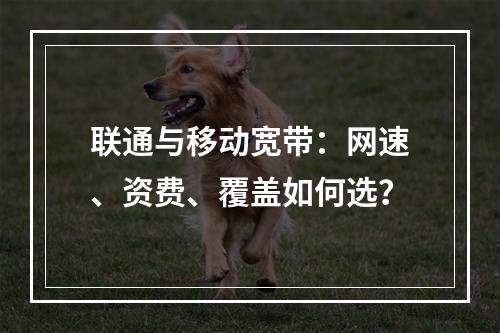联通与移动宽带：网速、资费、覆盖如何选？