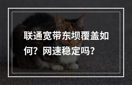 联通宽带东坝覆盖如何？网速稳定吗？