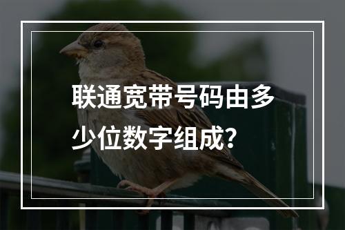 联通宽带号码由多少位数字组成？