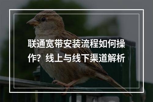 联通宽带安装流程如何操作？线上与线下渠道解析