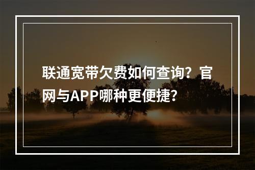 联通宽带欠费如何查询？官网与APP哪种更便捷？