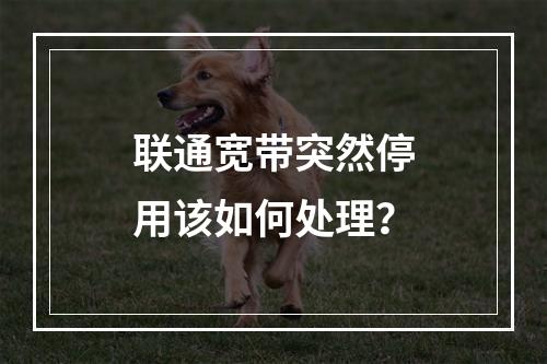 联通宽带突然停用该如何处理？