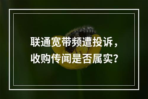联通宽带频遭投诉，收购传闻是否属实？