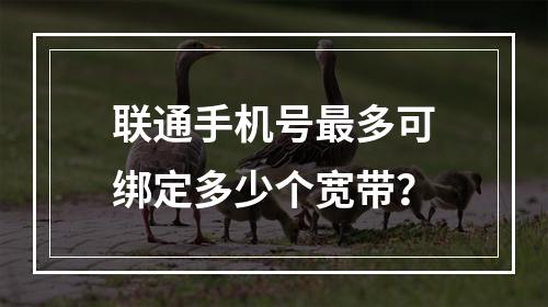 联通手机号最多可绑定多少个宽带？