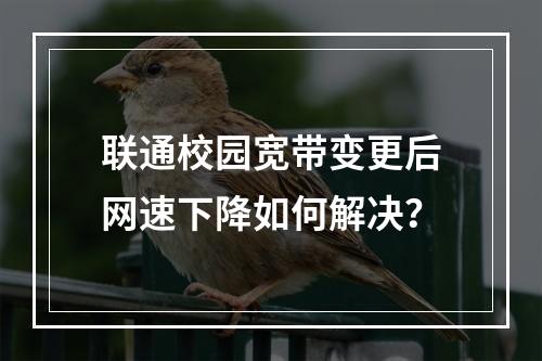 联通校园宽带变更后网速下降如何解决？