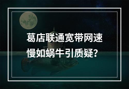 葛店联通宽带网速慢如蜗牛引质疑？