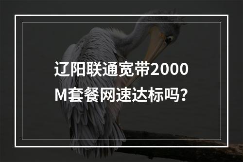 辽阳联通宽带2000M套餐网速达标吗？