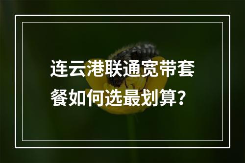 连云港联通宽带套餐如何选最划算？